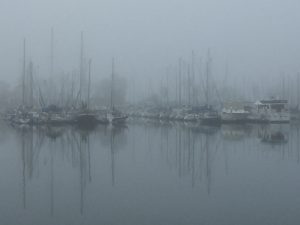 Misty Harbor